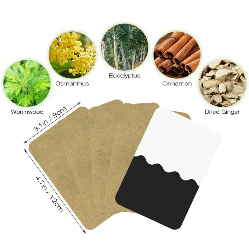 ⏳Time-Limited Sale 49% OFF⏰ Ginger Pain Relief Patches – Natural Heat Therapy for Aches & Stiffness | Stick It Where It Hurts! 💆‍♀️