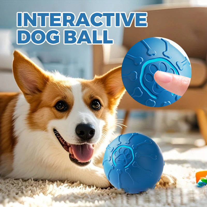 🎉2025 New Products Hot Sale✨Interactive Dog Ball