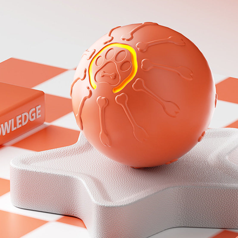 🎉2025 New Products Hot Sale✨Interactive Dog Ball