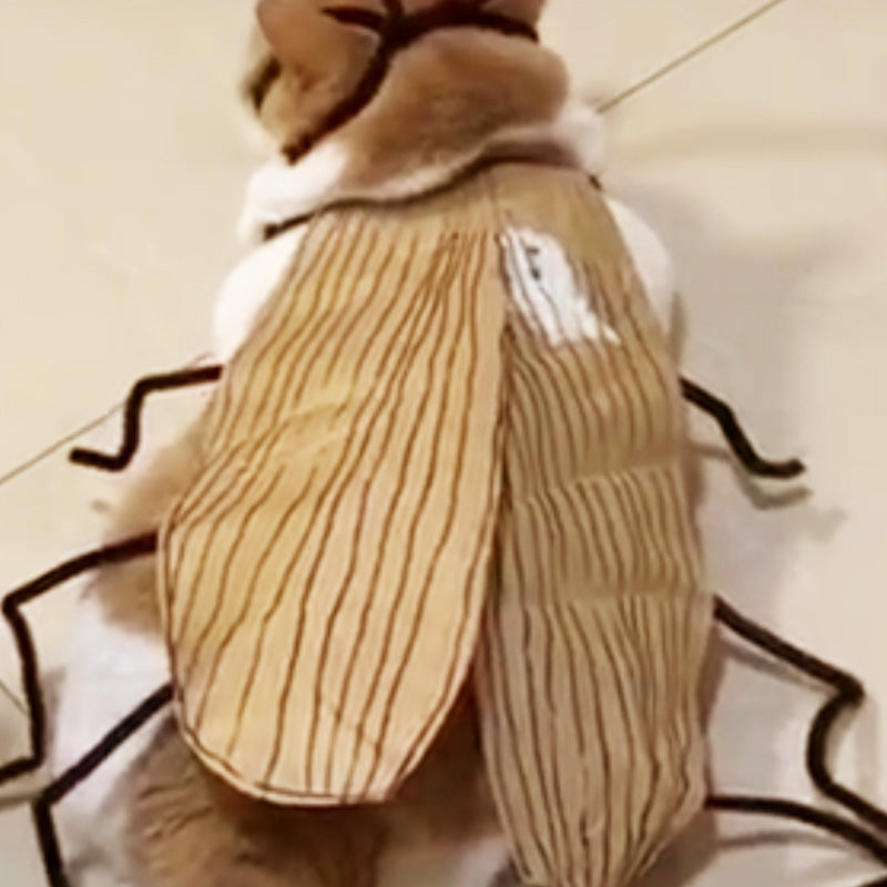🎉2025 New Products Hot Sale✨Cat Cockroach Costume Kit