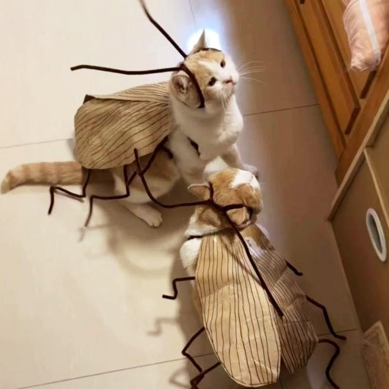 🎉2025 New Products Hot Sale✨Cat Cockroach Costume Kit