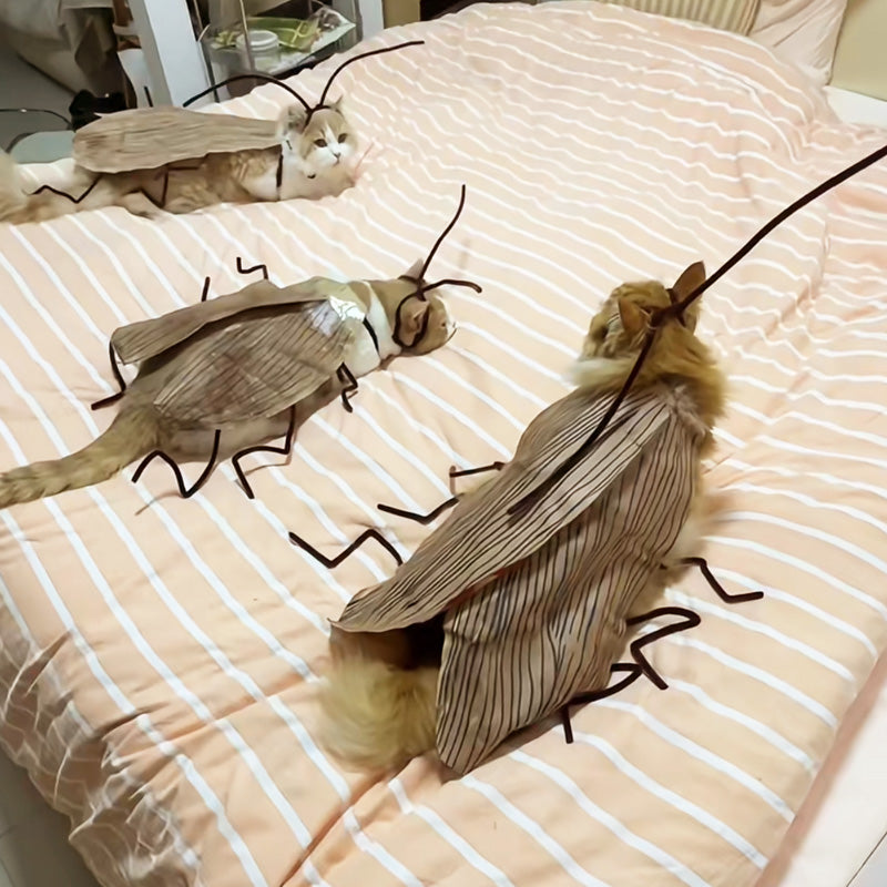 🎉2025 New Products Hot Sale✨Cat Cockroach Costume Kit