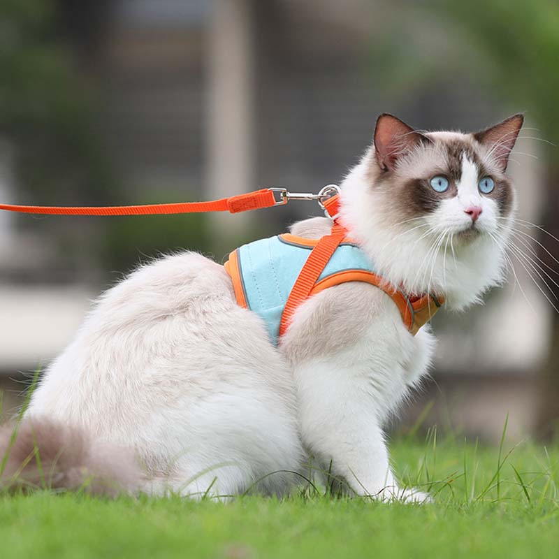 Anti-Escape Reflective Cat Harness with Leash