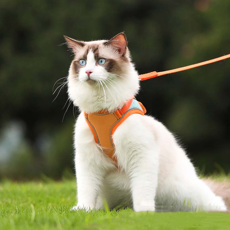 Anti-Escape Reflective Cat Harness with Leash