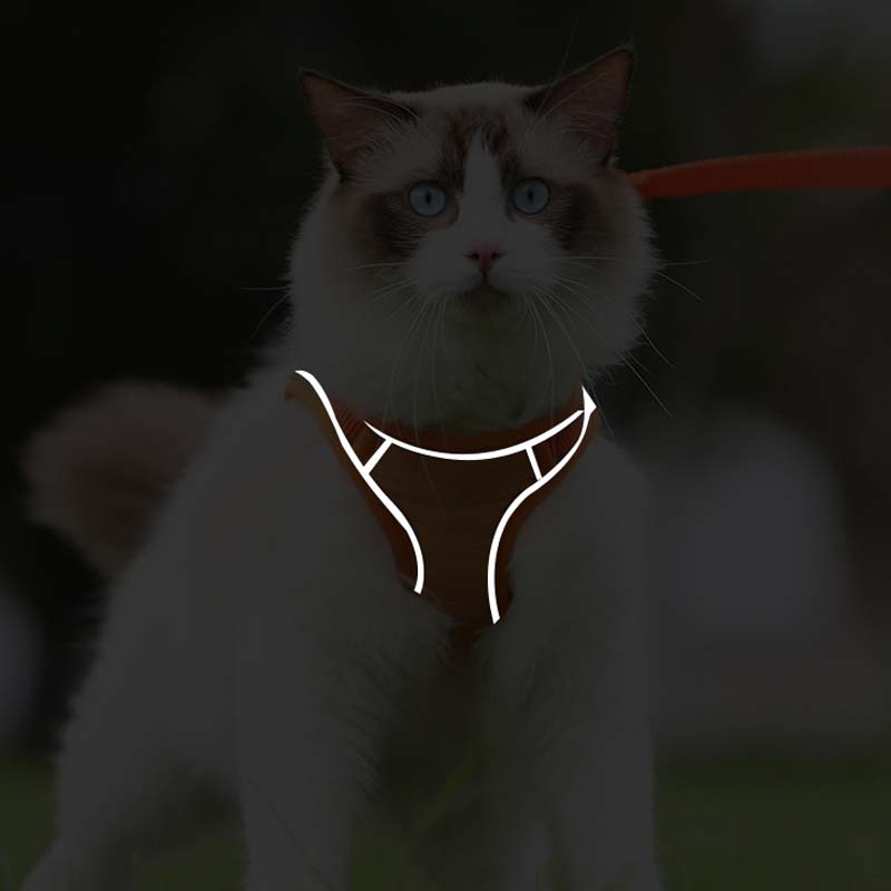 Anti-Escape Reflective Cat Harness with Leash